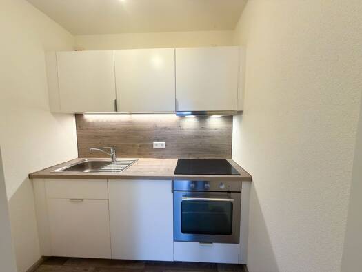 Wohnung zur Miete 400 € 1 Zimmer 26,4 m² Geschoss -1/5 frei ab sofort Brombach Lörrach 79540