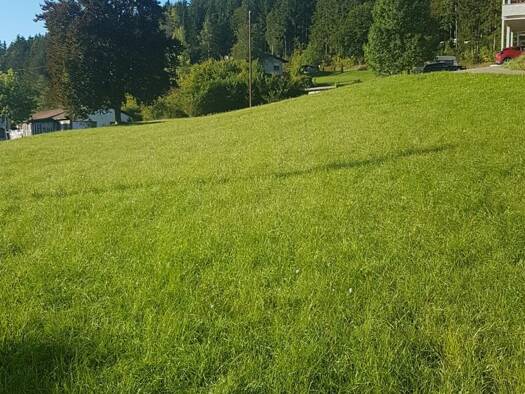 Grundstück zum Kauf 6.000 m² Grundstück Hohenzollernstraße Neufra 72419