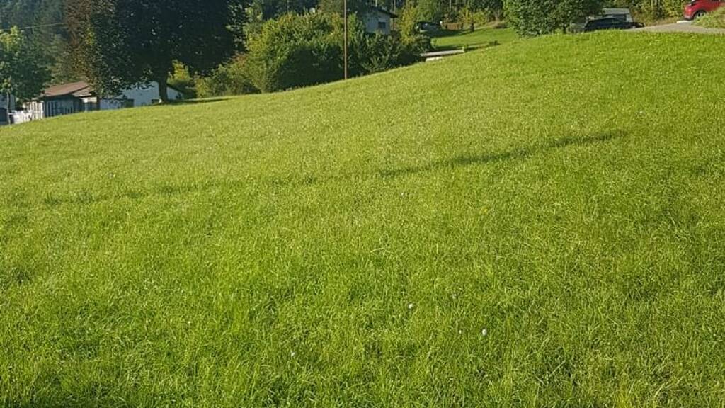 Grundstück zum Kauf 6.000 m² Grundstück Hohenzollernstraße Neufra 72419