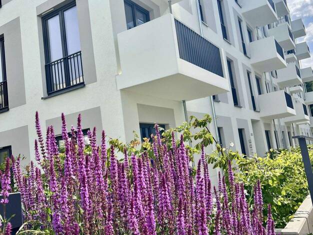 Wohnung zur Miete - Erstbezug 1.094 € 2 Zimmer 45 m² 3. Geschoss Marius-Carpentier-Straße 20 Spandau Berlin 13587