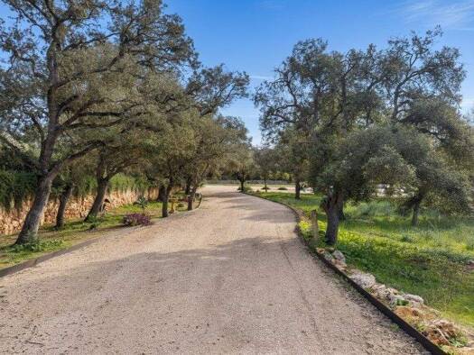 Grundstück zum Kauf 980.000 € 27.569 m² Grundstück Costitx 07144