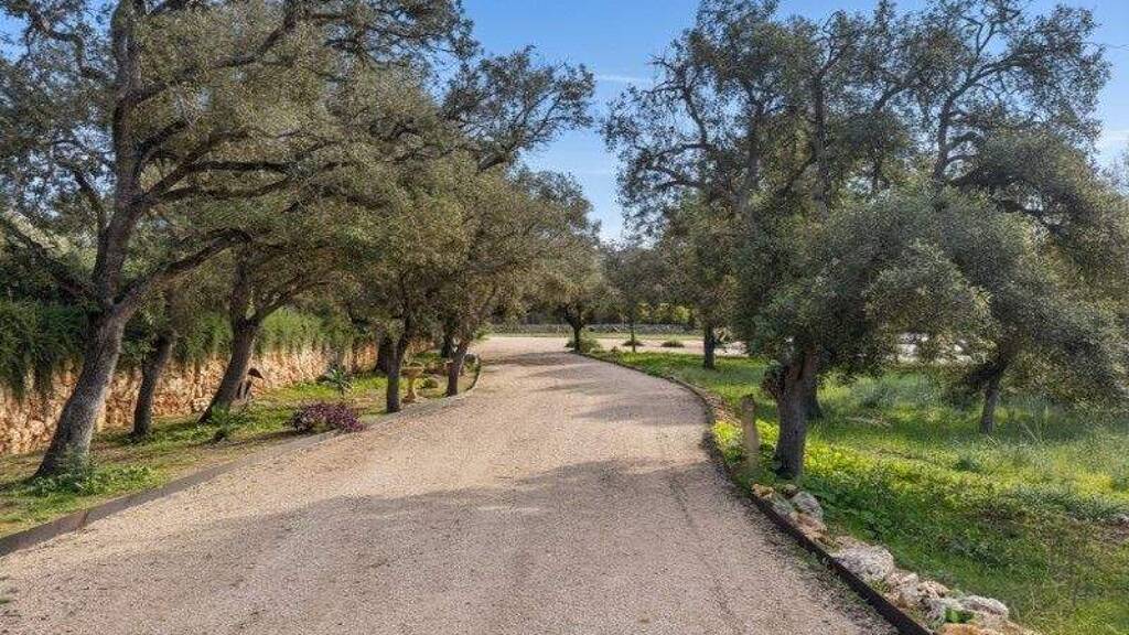 Grundstück zum Kauf 980.000 € 27.569 m² Grundstück Costitx 07144