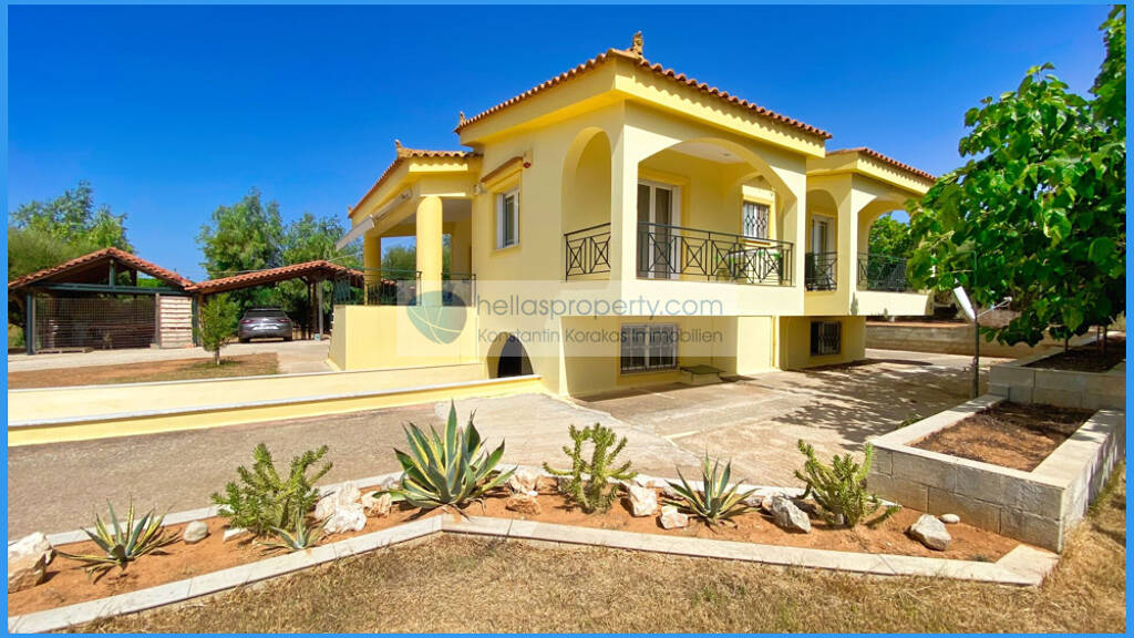 Einfamilienhaus zum Kauf 250.000 € 11 Zimmer 183,2 m² 5.064 m² Grundstück Lakkas Drasas 1 Vrachneika 25002