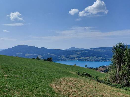 Grundstück zum Kauf 498.000 € 1.528 m² Grundstück Steinbach am Attersee 4853