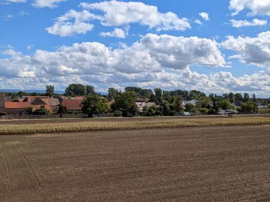 Maisonette zur Miete 1.400 € 4 Zimmer 145 m² Geschoss 2/3 frei ab 01.01.2026 Großniedesheim 67259