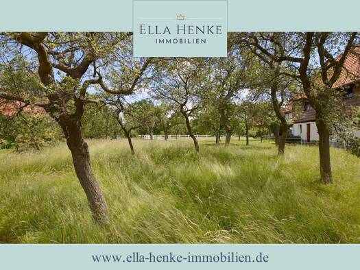 Grundstück zum Kauf 65.000 € 508 m² Grundstück Westerode Bad Harzburg-Westerode 38667