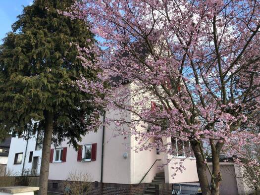 Wohnung zur Miete 760 € 3 Zimmer 73 m² EG frei ab 01.06.2026 Laufamholz Nürnberg 90482