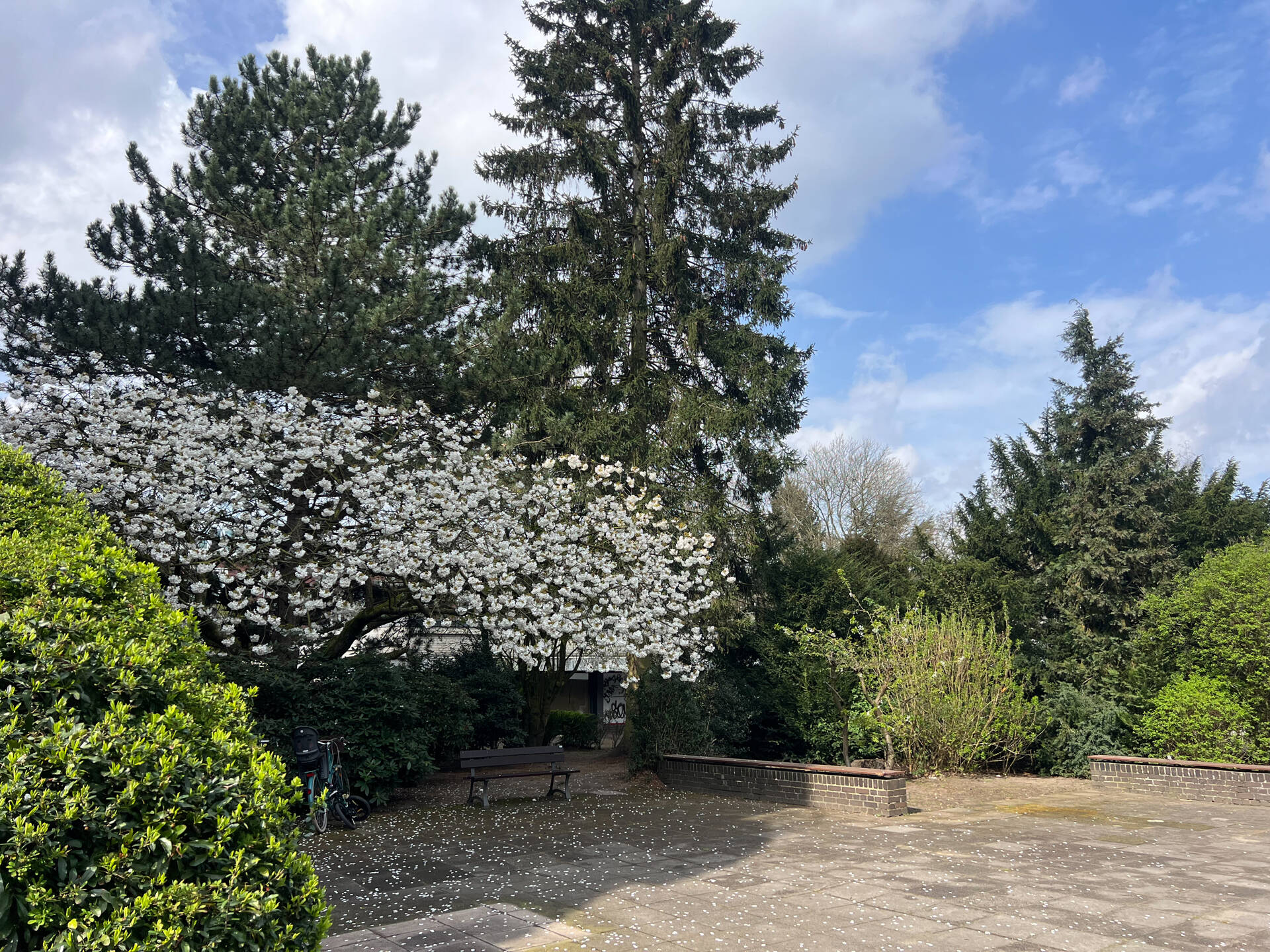 Property thumbnail 11