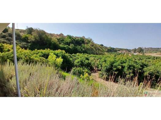Acker-/Waldstück zum Kauf 699.000 € Estepona 29689
