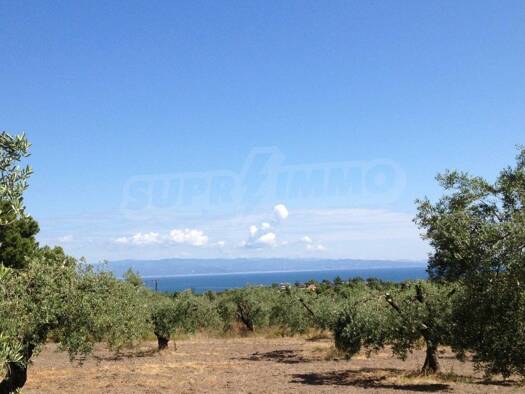 Landwirtschaftliche Fläche zum Kauf 325.000 € Municipality of Sithonia