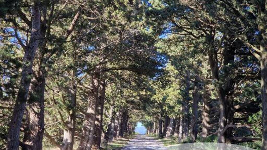 Land-/Forstwirtschaft zum Kauf 1.999.000 € 1.009.370 m² Grundstück Centre Ville Carcassonne 11000