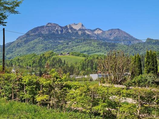 Grundstück zum Kauf 650.000 € 2.090 m² Grundstück Ramsau Bad Ischl 4820