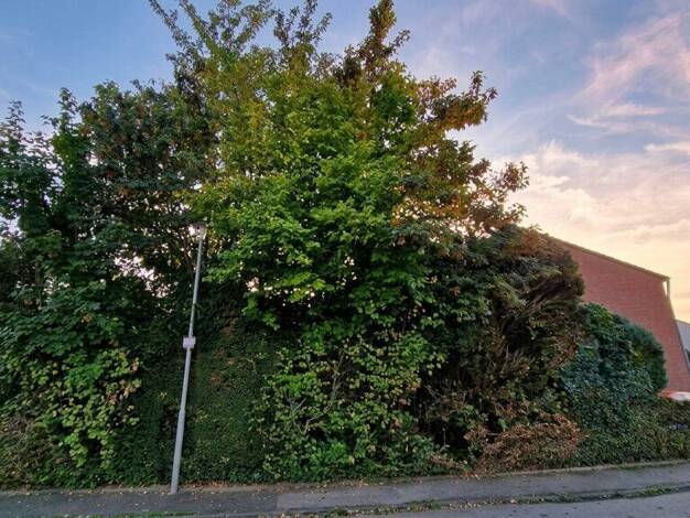 Grundstück zum Kauf 24.000 € 58 m² Grundstück Broichweiden Würselen 52146
