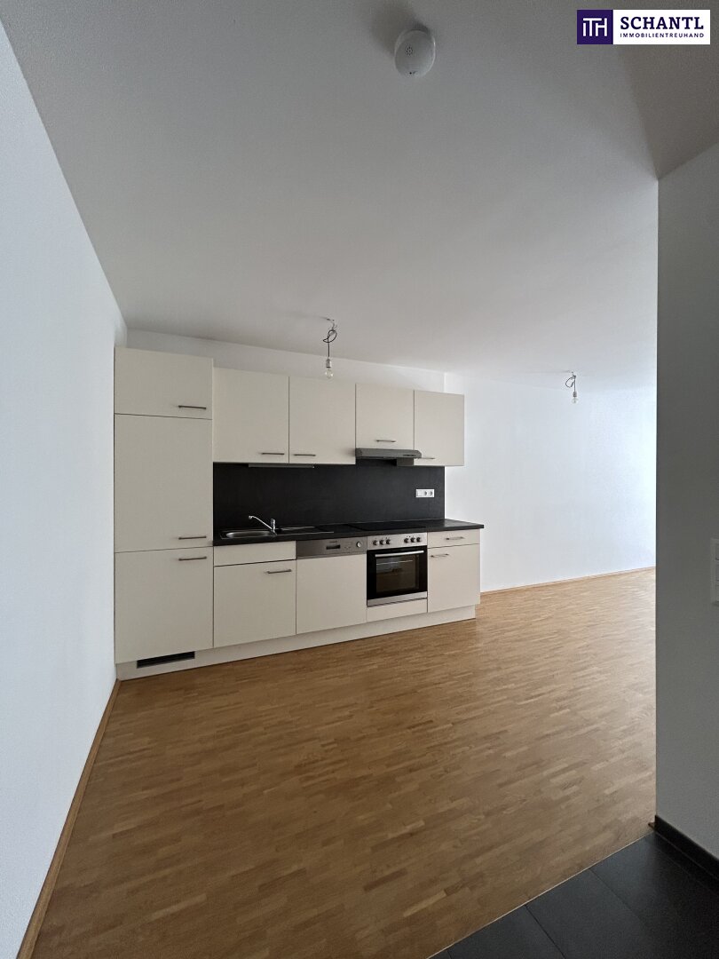 Wohnung zur Miete 540 € 2 Zimmer 44,3 m²<br/>Wohnfläche 1.<br/>Geschoss Niesenbergergasse Gries Graz 8020