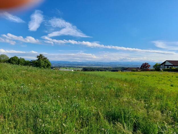 Grundstück zum Kauf 108.586 € 848 m² Grundstück Weingarten Windhaag bei Perg 4322