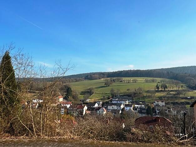 Grundstück zum Kauf 130.000 € 992 m² Grundstück Seckmauern Lützelbach 64750
