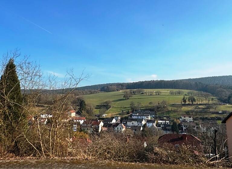 Grundstück zum Kauf 130.000 € 992 m²<br/>Grundstück Seckmauern Lützelbach 64750