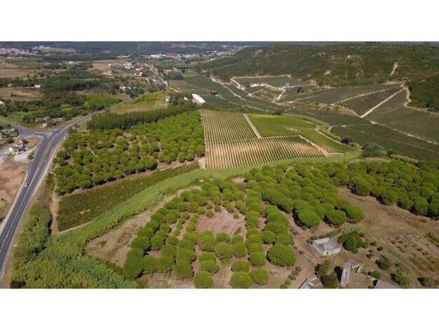 Grundstück zum Kauf 700.000 € 200.600 m² Grundstück Azambuja 2065-107