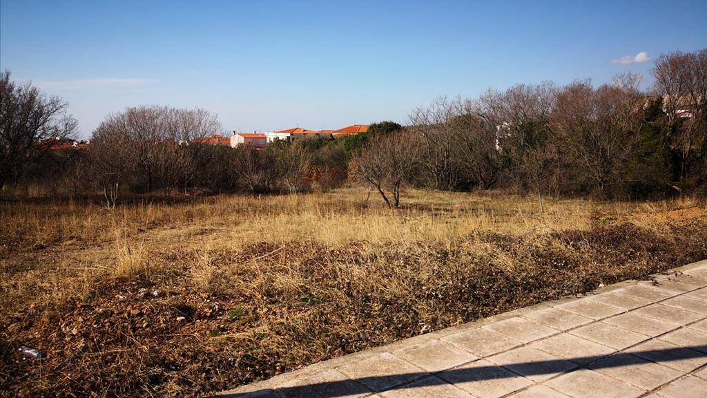 Land-/Forstwirtschaft zum Kauf 130.000 € 465 m² Grundstück Chalkidiki