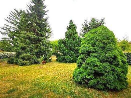 Grundstück zum Kauf 199.990 € 670 m² Grundstück Mahlow Blankenfelde-Mahlow 15831