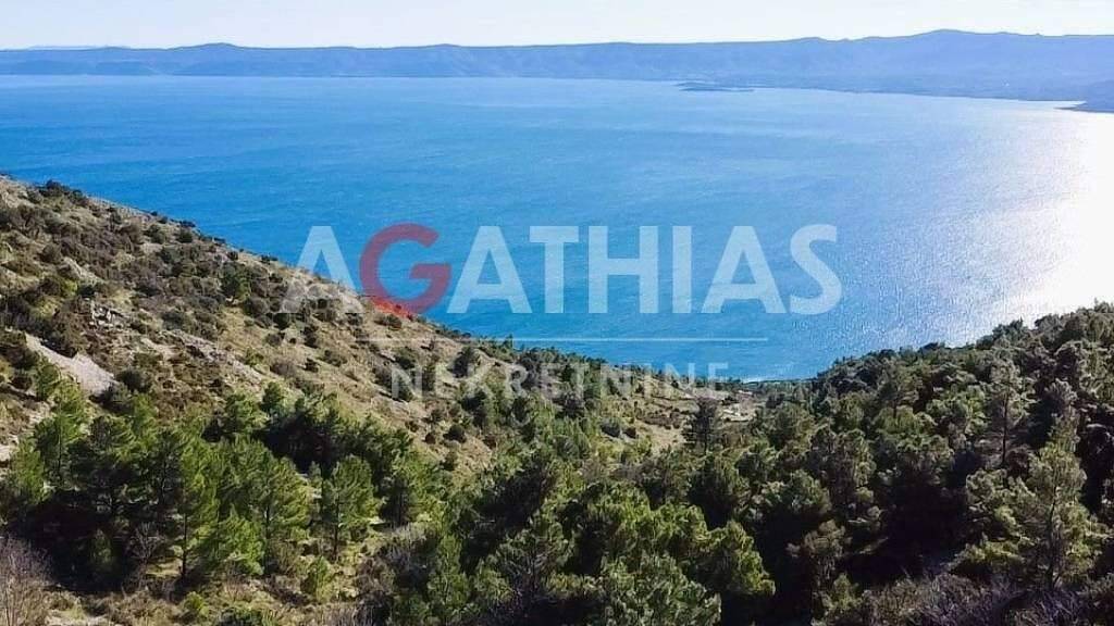 Land-/Forstwirtschaft zum Kauf 390.000 € Bol