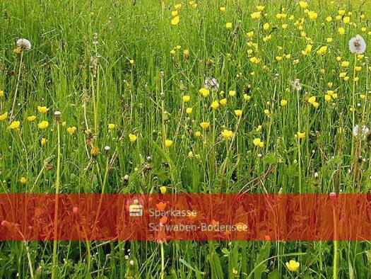 Land-/Forstwirtschaft zum Kauf 21.000 € 5.210 m² Grundstück Kirchheim 87757