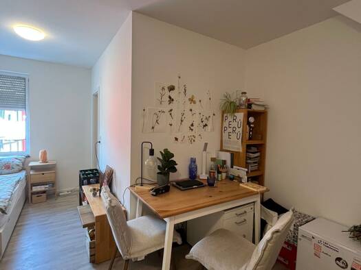 Wohnung zur Miete 600 € 1 Zimmer 1. Geschoss frei ab 01.11.2025 Innenstadt Tübingen 72070