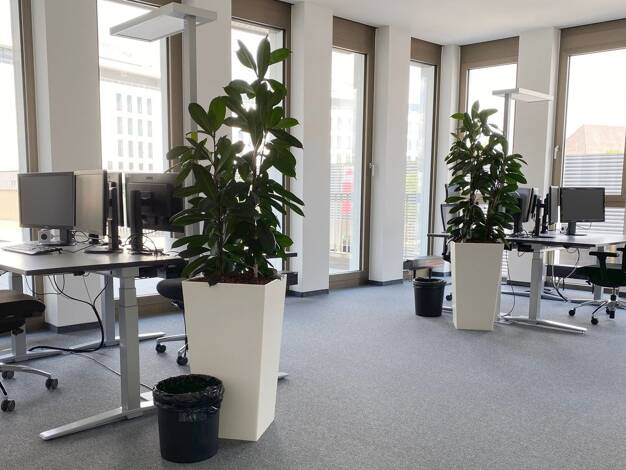Bürofläche zur Miete provisionsfrei 2.300 € 78 m² Bürofläche Konrad-Zuse-Straße Flugfeld Böblingen 71034
