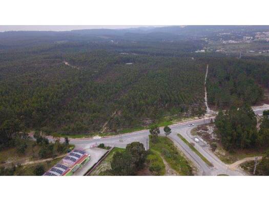 Grundstück zum Kauf 675.000 € 29.200 m² Grundstück Rio Maior