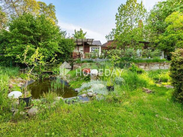 Einfamilienhaus zum Kauf 475.000 € 4 Zimmer 330 m² 3.098 m² Grundstück Weißenfels 06667