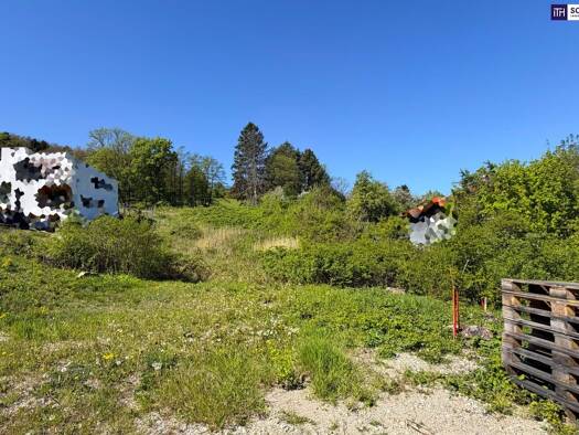 Grundstück zum Kauf 490.000 € 1.978 m² Grundstück Steinbrunngasse Klosterneuburg 3400