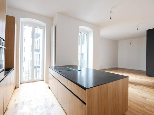 Wohnung zur Miete 1.514 € 1 Zimmer 54,1 m² 2. Geschoss frei ab sofort Wöhlertstraße 21 Mitte Mitte 10115