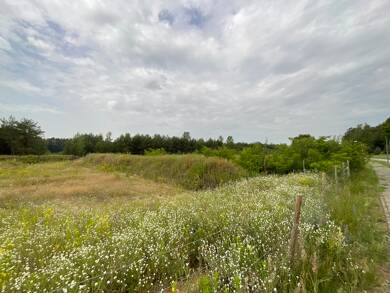 Gewerbegrundstück zum Kauf 139.000 € 1.000 m² Grundstück Fürstenwalde Fürstenwalde/Spree 15517