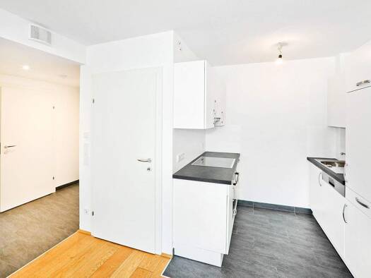 Wohnung zur Miete 651 € 1,5 Zimmer 32,3 m² 1. Geschoss frei ab 15.06.2026 Adolf-Czettel-Gasse 7 Wien 1160