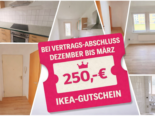 Wohnung zur Miete 285 € 2 Zimmer 46,9 m² EG Geibelstraße 118 Gablenz Chemnitz 09127