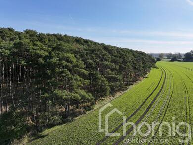 Land-/Forstwirtschaft zum Kauf 22.900 € 27.921 m² Grundstück Bergzow Elbe-Parey 39317