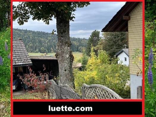 Haus zum Kauf 298.000 € 4 Zimmer 115 m² 660 m² Grundstück Wehrhalden Herrischried 79737