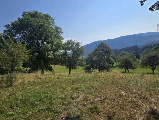 Grundstück zum Kauf 49.500 € 1.501 m² Grundstück Feldkirchen in Kärnten 9560