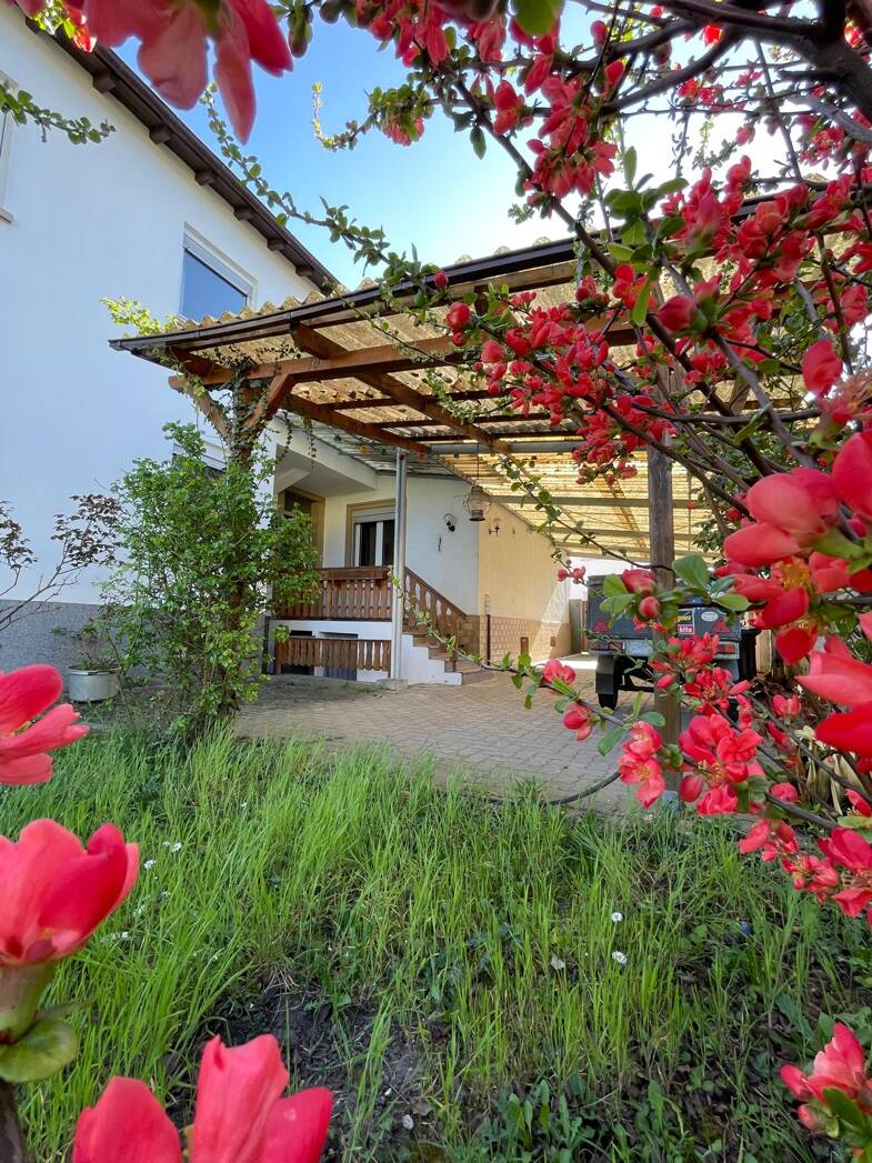 Haus zum Kauf 380.000 € 8 Zimmer 122 m² 280 m² Grundstück frei ab sofort Speyer 67346