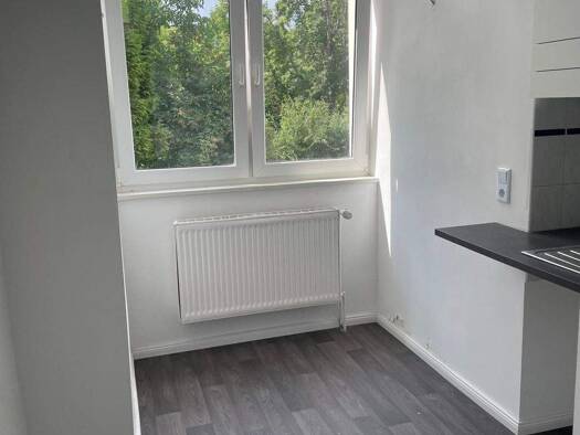 Wohnung zur Miete 400 € 1,5 Zimmer 50 m² frei ab sofort Eduardstraße 36 Innenstadt Dessau-Roßlau 06844