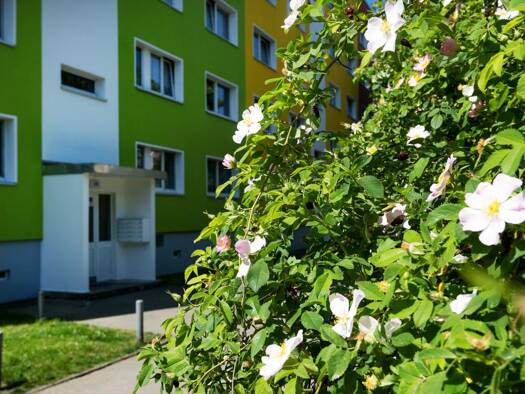 Wohnung zur Miete 360 € 3 Zimmer 60,9 m² 2. Geschoss Ludwig-Herzfeld-Straße 2 Silberhöhe Halle (Saale) 06132