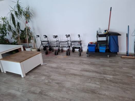 Praxisfläche zur Miete 2.050 € 1 Zimmer 220 m² Bürofläche Seumestraße 21 Bad Dürrenberg Bad Dürrenberg 06231