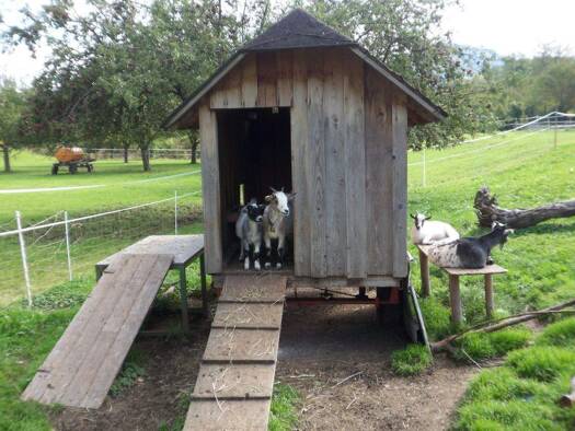 Wohnung zum Kauf - Neubau provisionsfrei 588.300 € 3 Zimmer 75 m² 2. Geschoss frei ab sofort Bundesstraße 27 Zarten Kirchzarten 79199