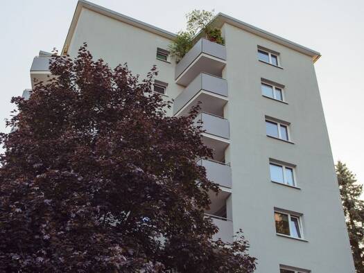 Wohnung zur Miete 382 € 2 Zimmer 48,3 m² 2. Geschoss frei ab 01.01.2027 Pfistermeisterstraße 65 Amberg Amberg 92224