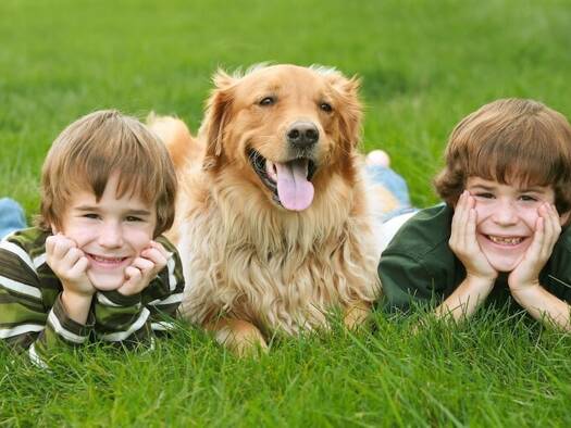 Einfamilienhaus zum Kauf provisionsfrei 786.000 € 5 Zimmer 140 m² 530 m² Grundstück Düsseldorf 40229