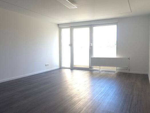Wohnung zur Miete 1.000 € 1 Zimmer 60 m² Geschoss 1/5 frei ab sofort Deutenbach Stein 90547