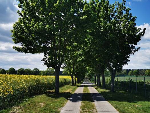 Grundstück zum Kauf als Kapitalanlage geeignet 190.000 € 1.260 m² Grundstück Amselweg 5 Klosterfelde Wandlitz 16348
