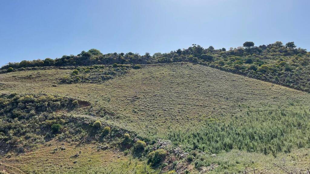 Land-/Forstwirtschaft zum Kauf 320.000 € 10.000 m² Grundstück Kreta