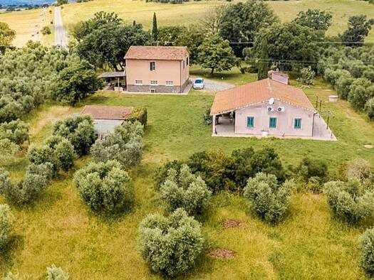 Haus zum Kauf 1.000.000 € 300 m² 1 m² Grundstück Capalbio 58011