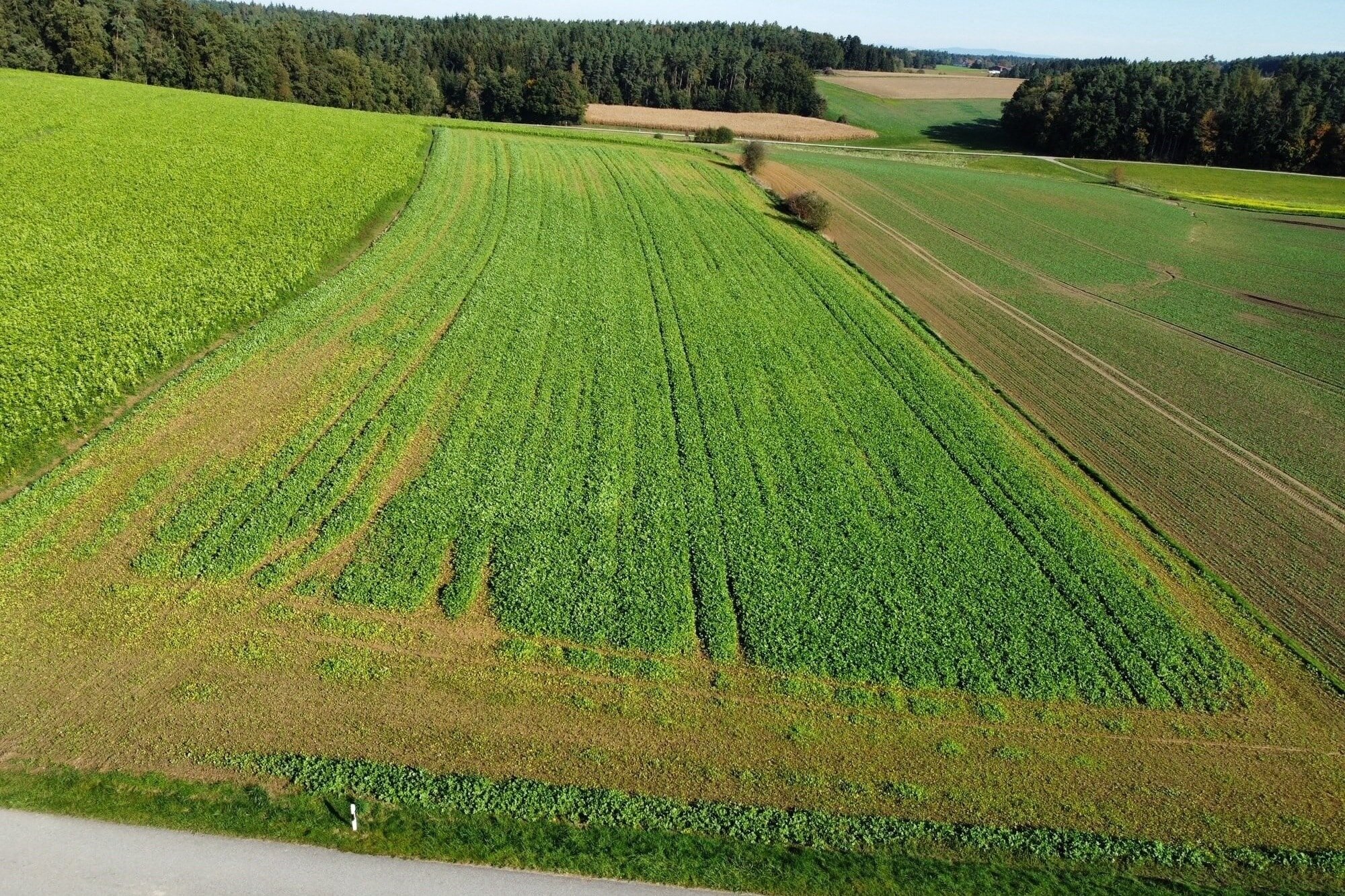 Landwirtschaftliche Fläche zum Kauf 242.300 € 12.115 m²<br/>Grundstück Altersberg Reisbach 94419